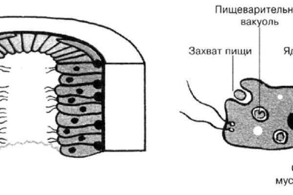 Kra37.at