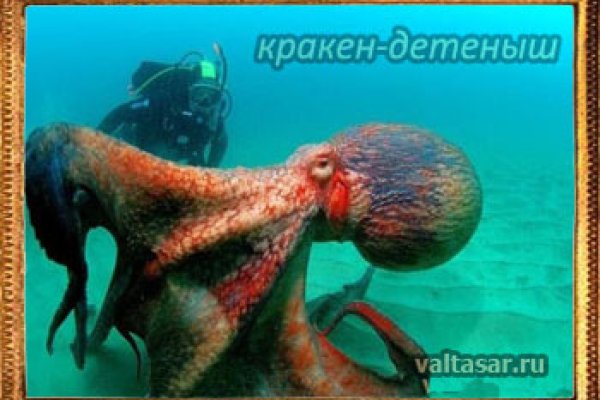 Гидра альтернатива