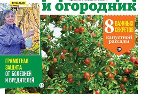 Кракен рабочая ссылка на сайт
